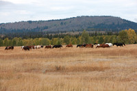 0020_Wyonming_To_Ketchem_Sun_Valley_ID_5L8Y7387