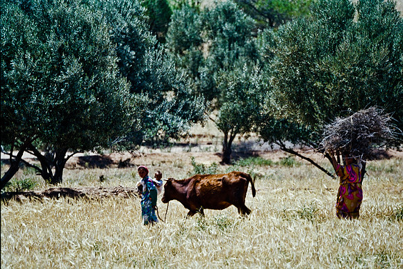 2626_FM_COLOR_35MM_COLOR_EK_MAROCCO_12