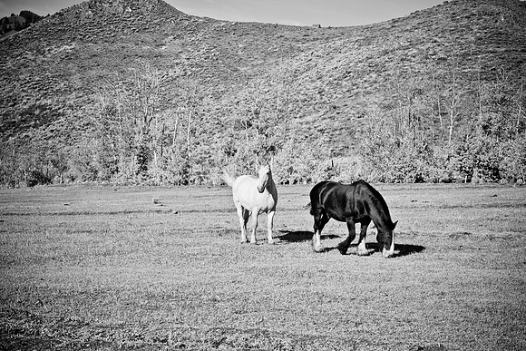 0021_Wyonming_To_Ketchem_Sun_Valley_ID_5L8Y70021_997