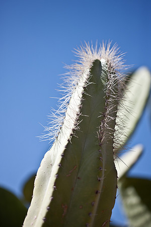 0031_La_Arizona_5L8Y5610