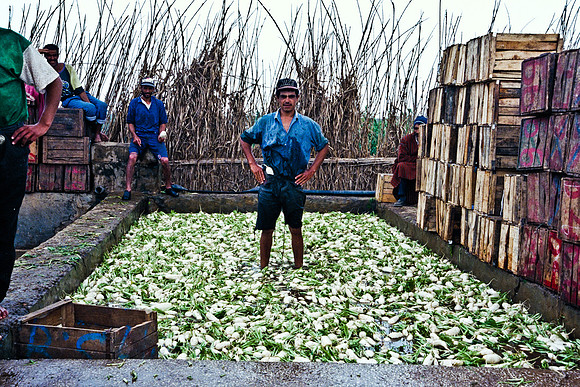 2626_FM_COLOR_35MM_COLOR_EK_MAROCCO_100