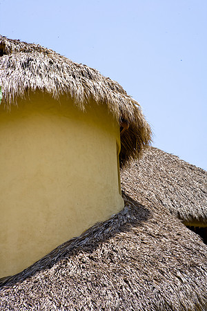 36192_DG_Color_North_America_Guerrero_MexicoZV4N4575