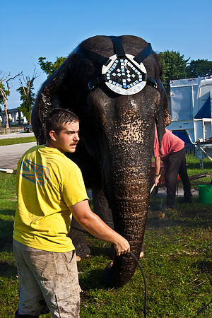 42588_Circus_Miami__Park__IMG_6287