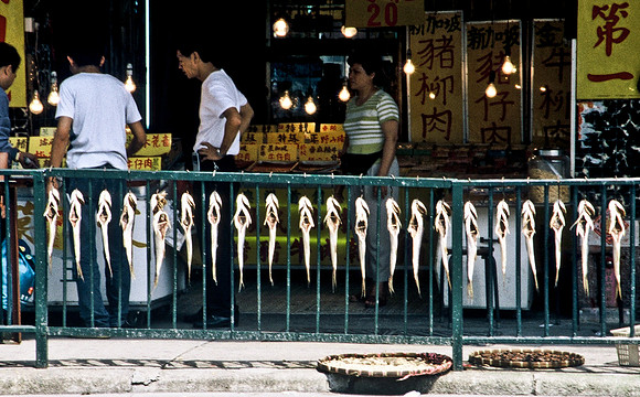 3776_SL_COLOR_AROUND_THE_WORLD_IN_8_MONTHS_APRIL_2000_11