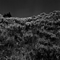 7549_B3P1_4_BW_SQ_MT_01_1.jpg