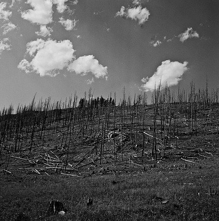 7549_B3P1_7_BW_SQ_MT_01_3.jpg