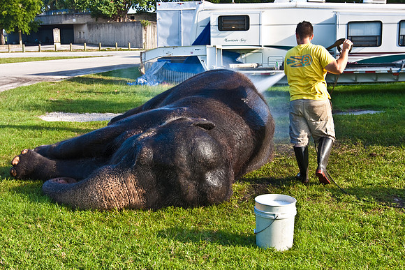 42588_Circus_Miami__Park__IMG_6405