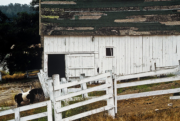 47390_B3_SL_COLOR_SURROUNDINGS_NE_97_11.jpg