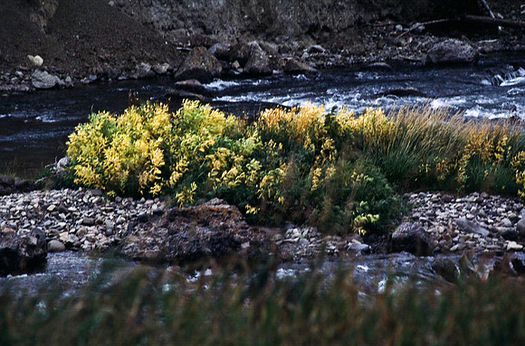 47653_B11_SL_COLOR_ENTRANCE_YELLOWSTONE_WY_97_06.jpg