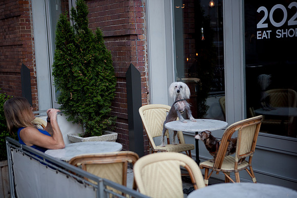 3885_DG_Chelsea_Meat_Paking_Distric_New_York_2010_ZV4N3283