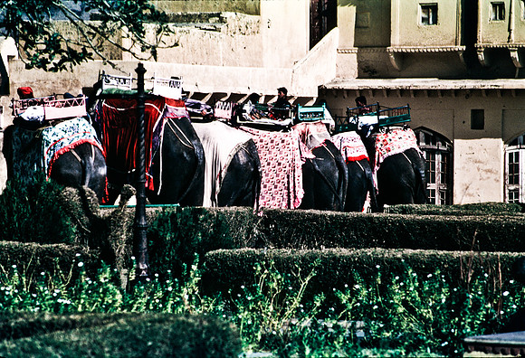 47281_SL_COLOR_INDIA_1987_19