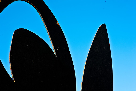 3452_DG_Biltmor_Hotel_Coral_Gables_Sculptures_Miami_FL_5L8Y0160