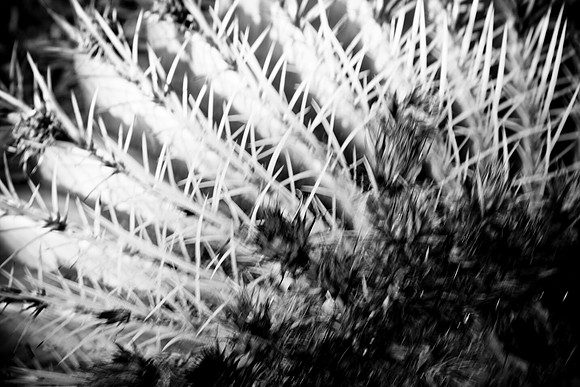 0031_La_Arizona_5L8Y5111