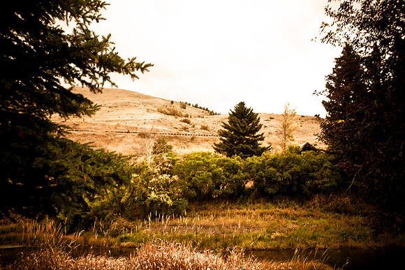 0019_Aspen_To_Jackson_Hole_Wyoming_5L8Y7100