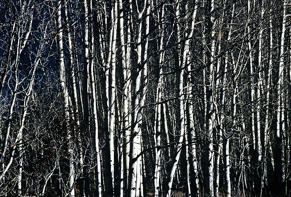 47444_B5_SL_COLOR_TWIN_LAKE_SAN_ISRAEL_NAT_FORREST_COLORADO_WY_97_04