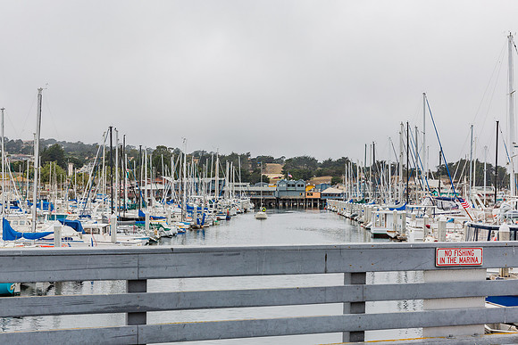 20130817_Monterey_CA_9C7C4802