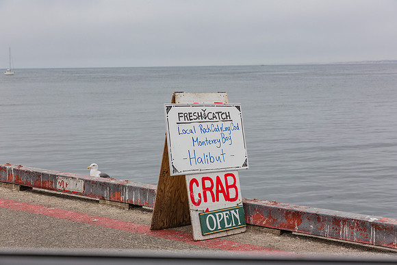 20130817_Monterey_CA_9C7C4806