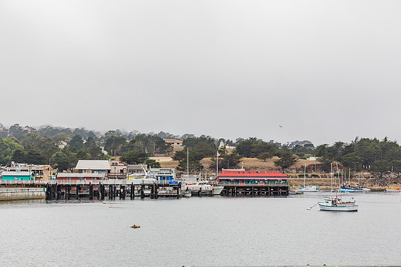 20130817_Monterey_CA_9C7C4804