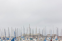 20130817_Monterey_CA_9C7C4812