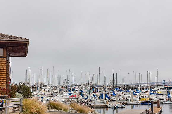 20130817_Monterey_CA_9C7C4811
