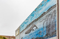 20130817_Monterey_CA_9C7C4816