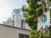 20130818_San_Francisco_9C7C5036