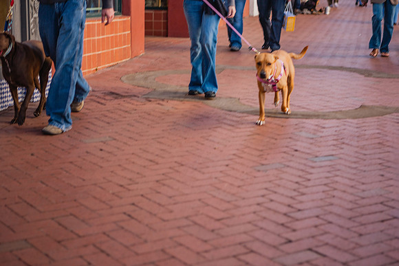 20071230_California_ZV4N4219