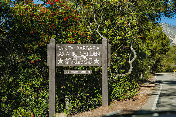 20071230_California_ZV4N4124