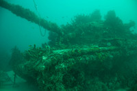 20140718_22_43_31__Oliver_Dive_20140718_OR_DA_IMG_6459