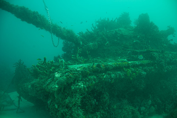 20140718_22_43_31__Oliver_Dive_20140718_OR_DA_IMG_6459