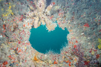 20140718_21_35_4__Oliver_Dive_20140718_OR_DA_IMG_6444