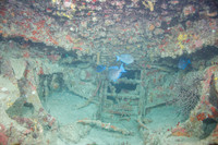 20140718_22_48_42__Oliver_Dive_20140718_OR_DA_IMG_6461