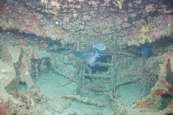 20140718_22_48_42__Oliver_Dive_20140718_OR_DA_IMG_6461
