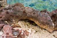 3876_DG_Cayman_Island_Caribbean_ZV4N0252