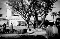 0042_DG_Fisher_Island_Beach_Club_Renovation_Miami_FL5L8Y1743
