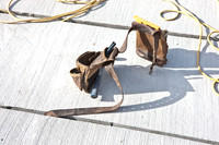 0042_DG_Fisher_Island_Beach_Club_Renovation_Miami_FL5L8Y1720