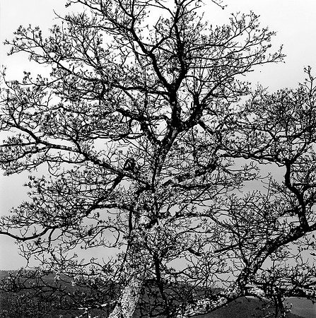 7785_FILM_BW_CAROLI_GA_04_2.jpg
