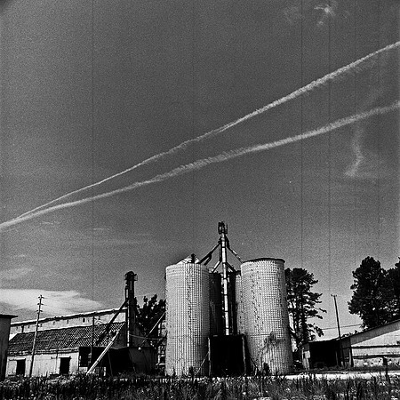 7701_FM_BW_SAVANA_GEORGIA_04_5.jpg