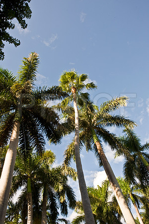 0042_DG_Fisher_Island_Miami_FL5L8Y1831