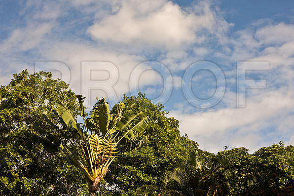 0042_DG_Fisher_Island_Miami_FL5L8Y1829