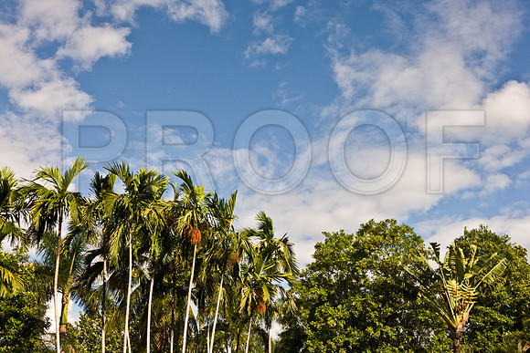 0042_DG_Fisher_Island_Miami_FL5L8Y1823