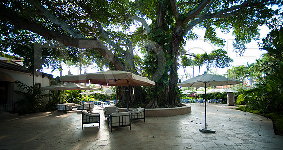 3080_DG_Fisher_Island_Beach_Club_Constrution_Carl_2009DSC_8357