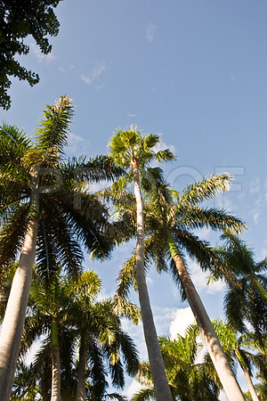 0042_DG_Fisher_Island_Miami_FL5L8Y1830