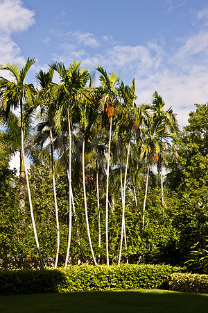 0042_DG_Fisher_Island_Miami_FL5L8Y1820
