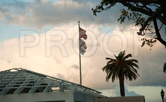 3080_DG_Fisher_Island_Beach_Club_Constrution_Carl_2009DSC_8323-2
