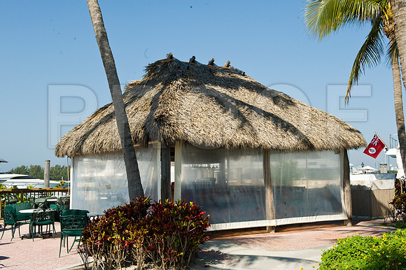 3080_DG_Fisher_Island_Beach_Club_Constrution_Carl_2009DSC_5856