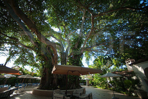 3080_DG_Fisher_Island_Beach_Club_Constrution_Carl_2009DSC_8405