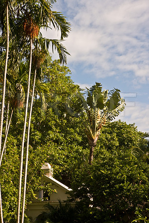 0042_DG_Fisher_Island_Miami_FL5L8Y1836