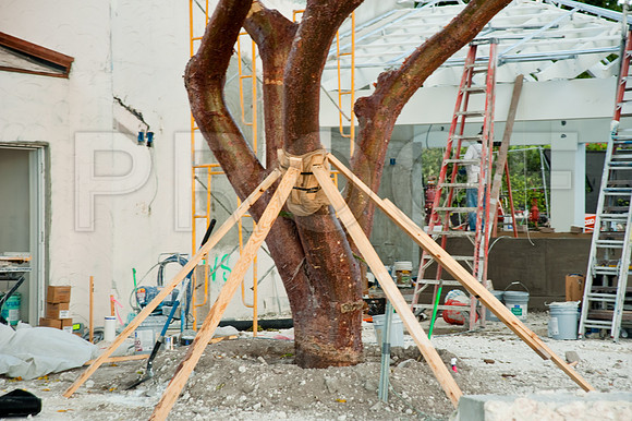 3080_DG_Fisher_Island_Beach_Club_Constrution_Carl_2009DSC_8308