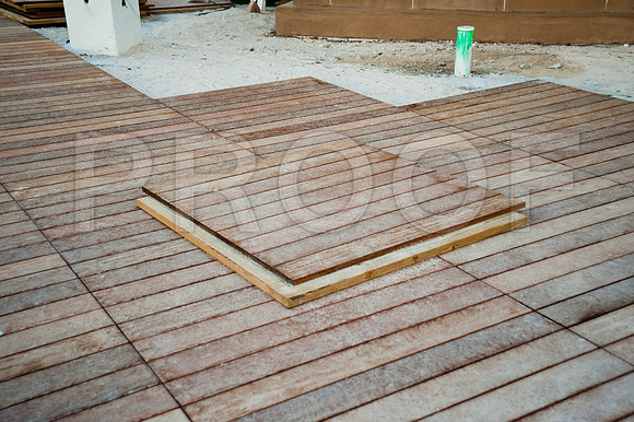 3080_DG_Fisher_Island_Beach_Club_Constrution_Carl_2009DSC_8272